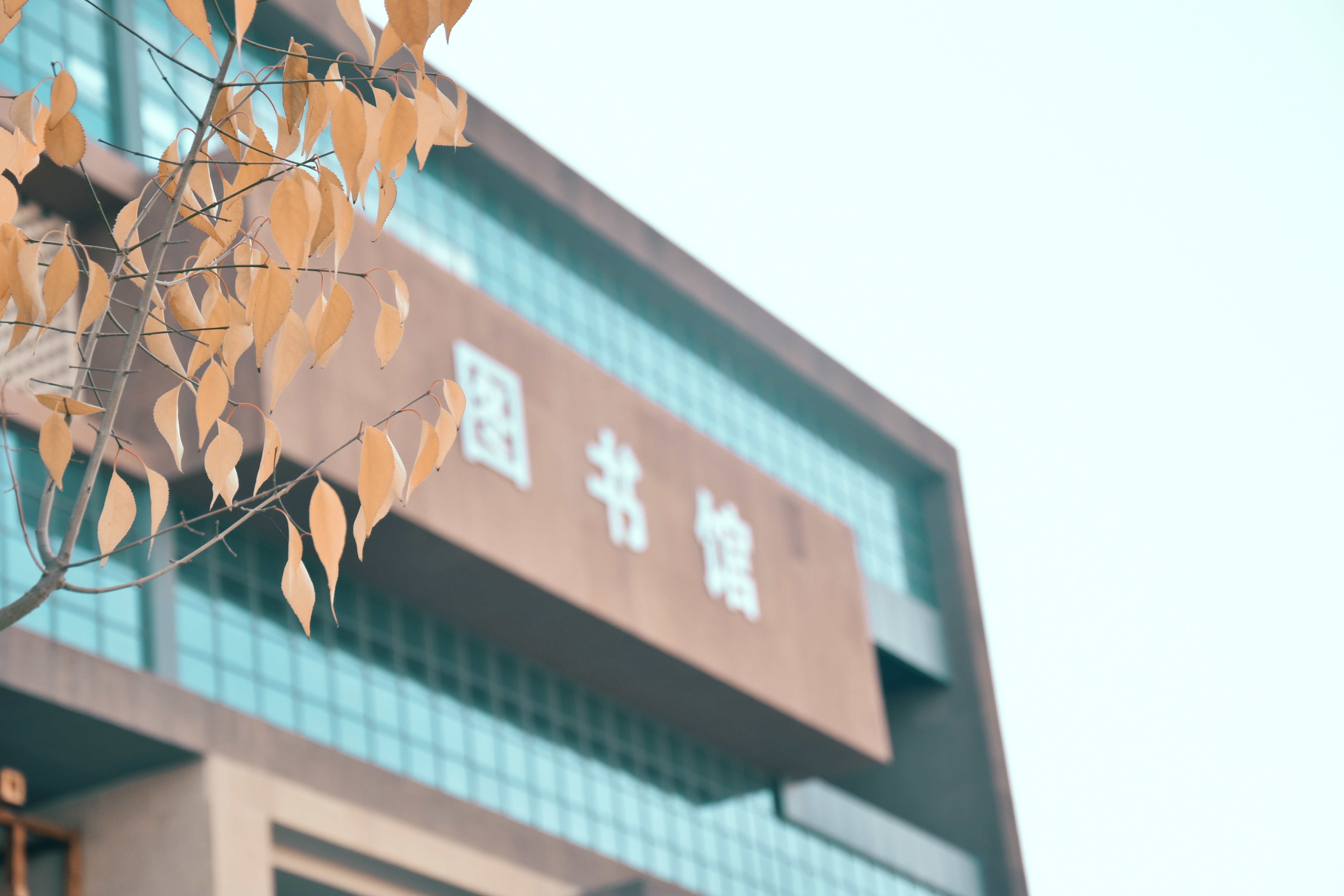 落叶知秋 ,微风徐来, 所有美好如期而至